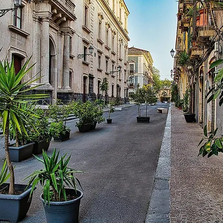 Design With Amazing View Over 公寓 卡塔尼亚